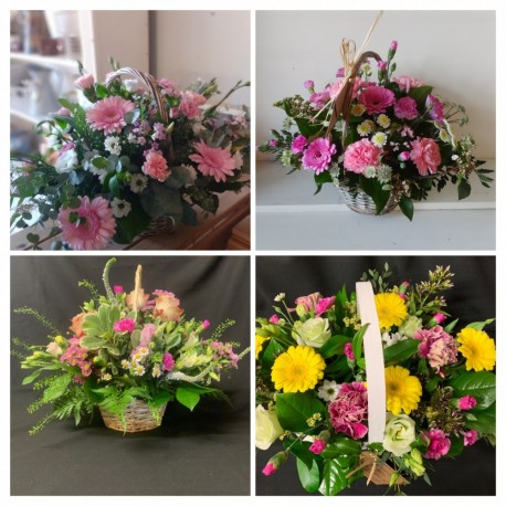 Pick of the Day Florist Choice Basket